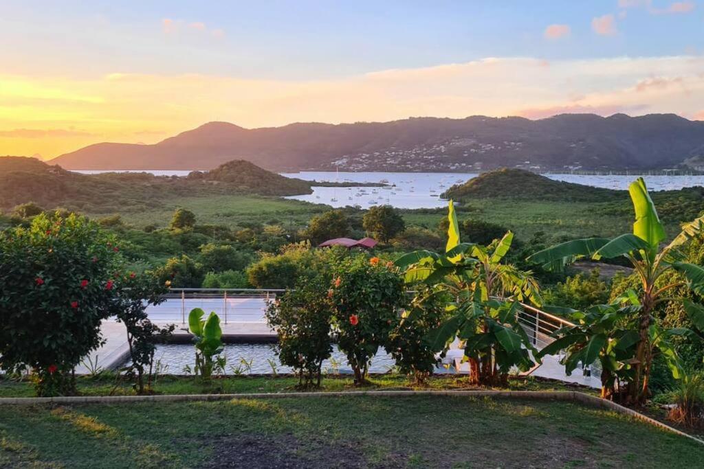Bas De Villa Piscine Petit Versailles Sainte Anne Ngoại thất bức ảnh