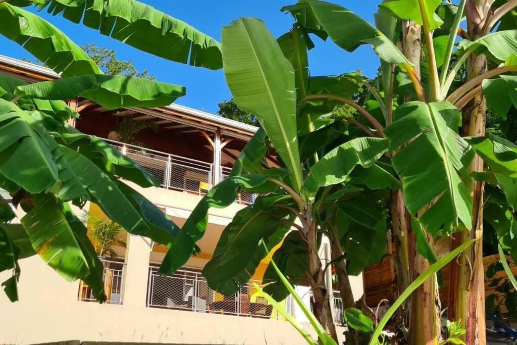 Bas De Villa Piscine Petit Versailles Sainte Anne Ngoại thất bức ảnh